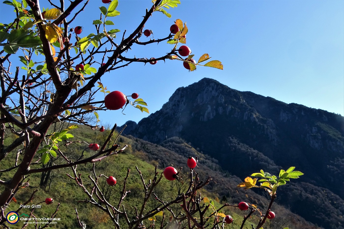 28 Vista in Venturosa con bacche rosse di rosa canina.JPG -                                